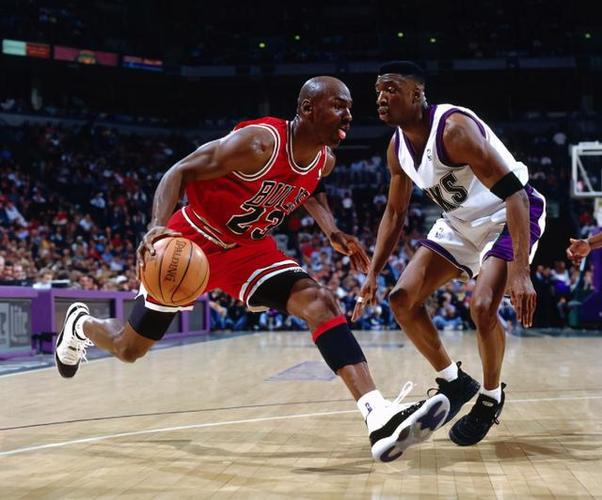 适应环境 适应环境