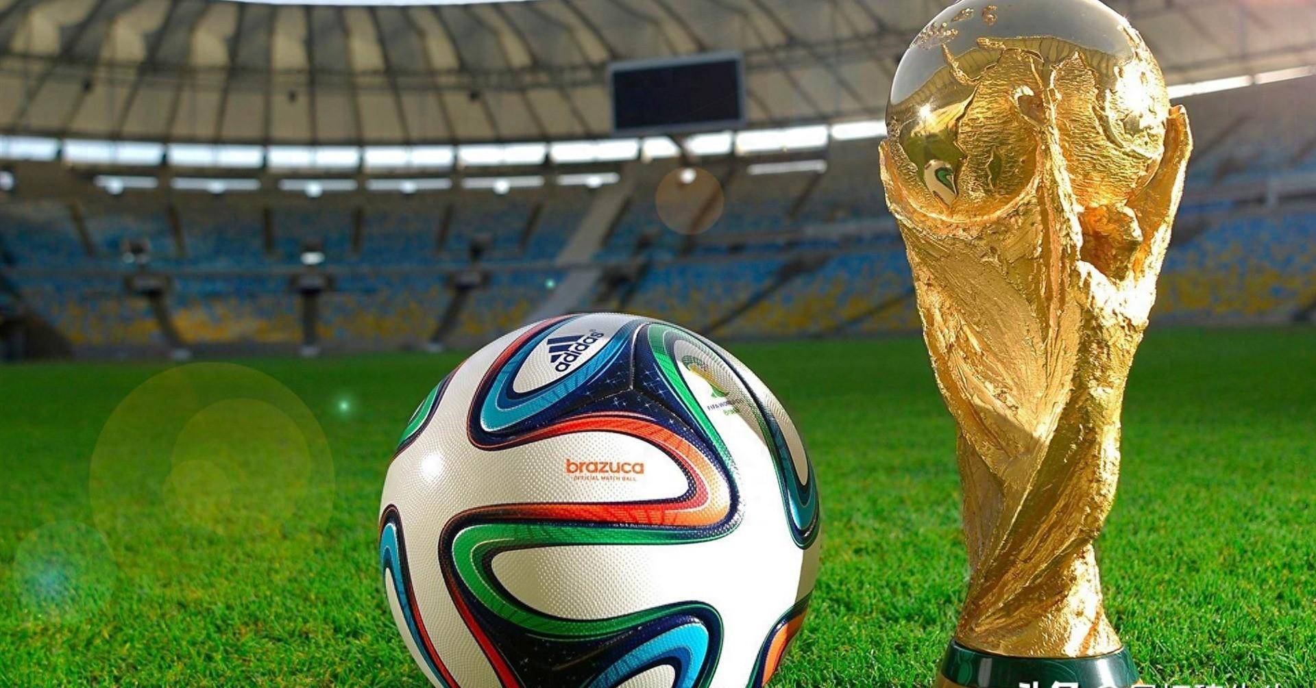 技目前位于 技目前位于